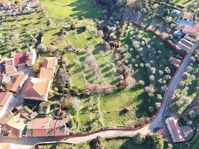 Quinta venda em Guarda, Trancoso