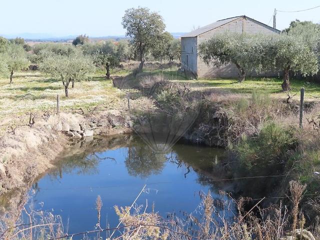 Quinta venda em Vale de Prazeres e Mata da Rainha, Fundão