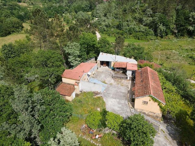 Quinta venda em Folhada, Várzea, Aliviada e Folhada