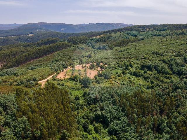 Quinta venda em Vinhó, Vila Cova de Alva e Anseriz