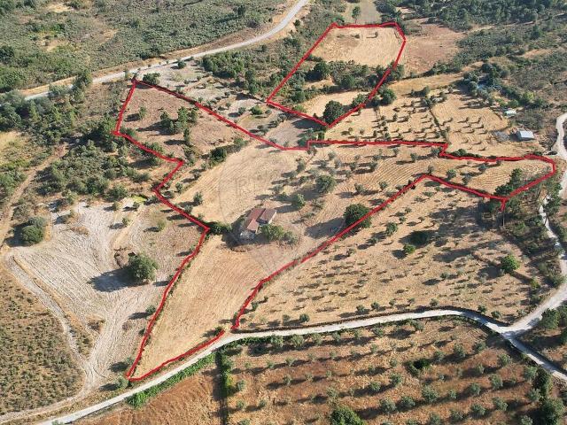 Quinta venda em Vila Franca da Serra, Gouveia