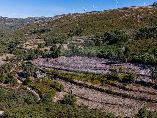 Quinta venda em Pendilhe, Viseu