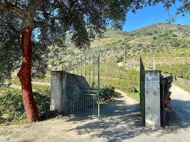 Quinta venda em Vila Seca e Santo Adrião, Armamar