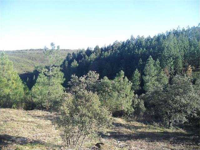 Quinta venda em Sarnadas de Ródão, Vila Velha de Ródão