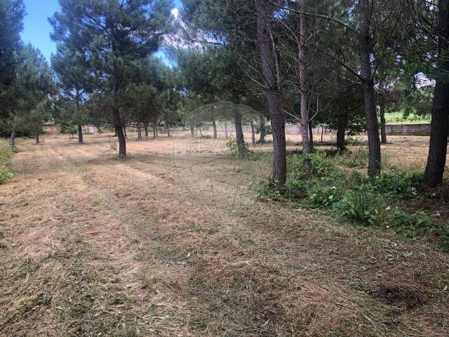 Quinta venda em Paradinha e Nagosa, Viseu