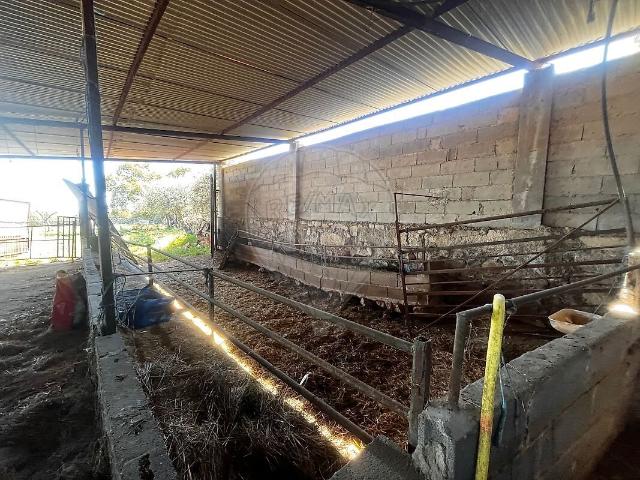 Quinta venda em Zebreira e Segura, Idanha-a-Nova