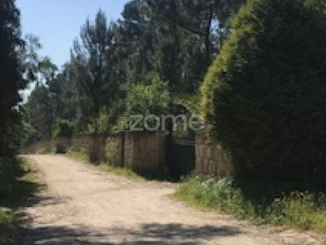 Terreno venda em Maia, Vila Do Conde