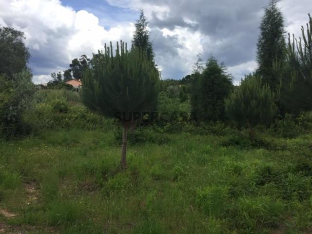 Casa venda em Ribafornos, Anadia