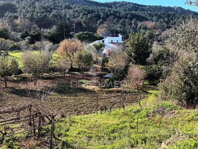 Quinta venda em Castelo De Vide, Portalegre