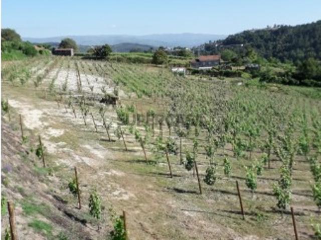 Terreno venda em Gove, Baião