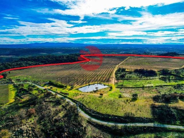 Quinta venda em Guarda, Longroiva