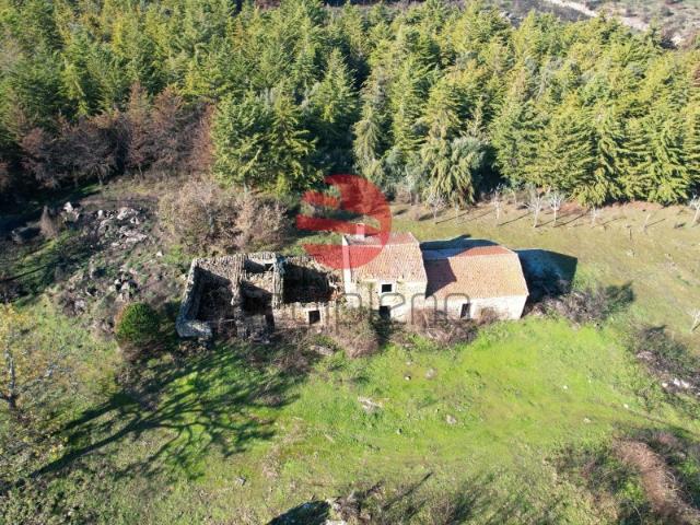 Quinta venda em Guarda, Meda