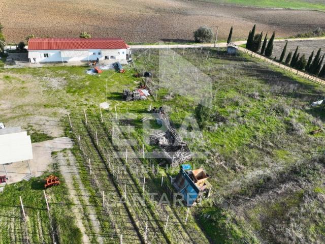 Terreno venda em Santarém