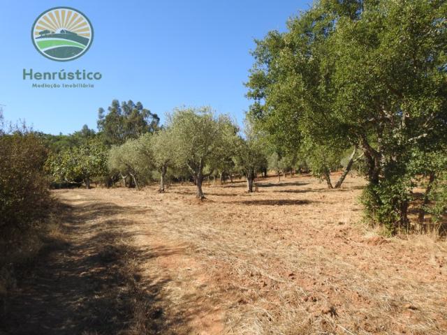 Quinta venda em Grândola, Setúbal