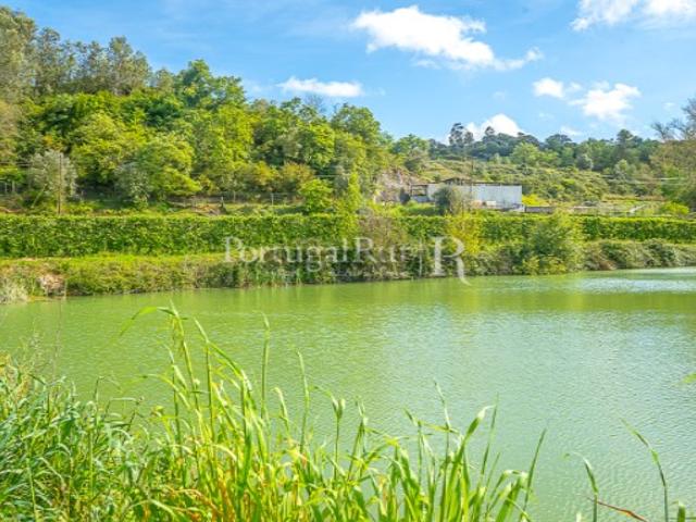 Terreno venda em Santarém