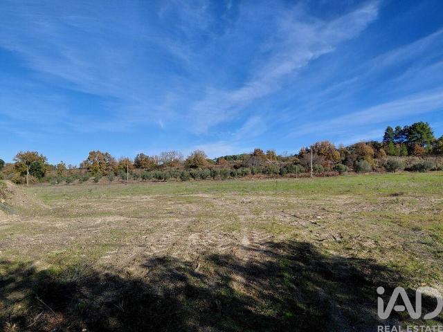 Quinta venda em Castelo Branco, Caria