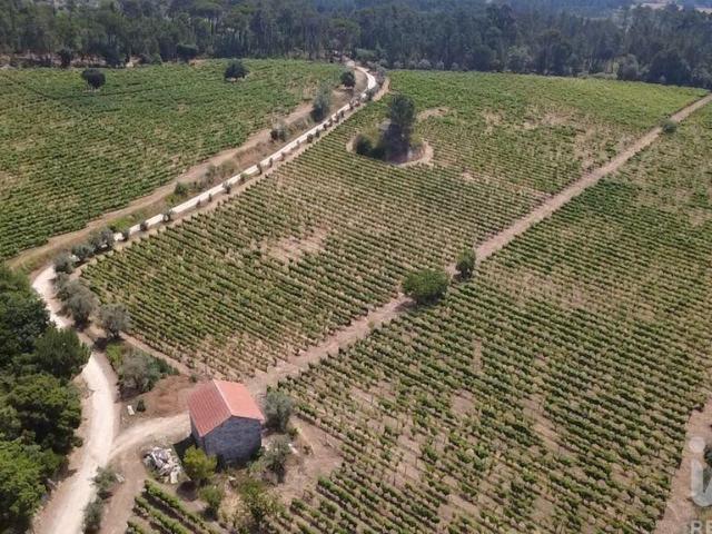 Quinta venda em Carvalhal Redondo e Aguieira, Nelas