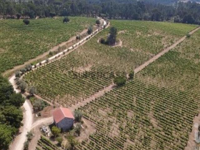 Casa venda em Carvalhal Redondo e Aguieira, Nelas