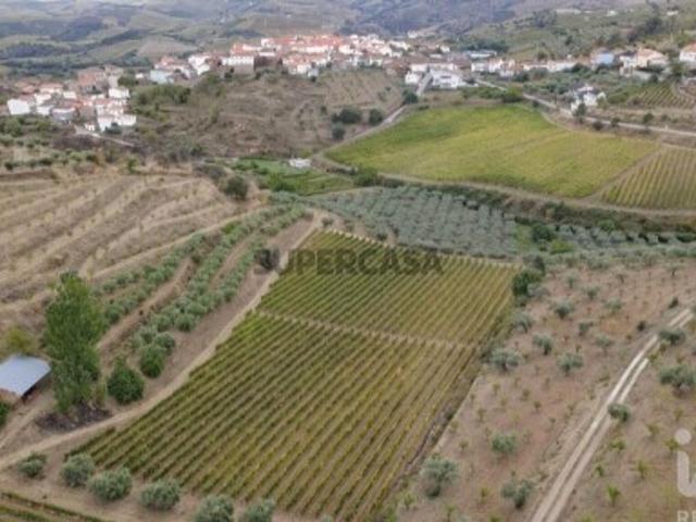 Casa venda em Cedovim, Vila Nova de Foz Côa