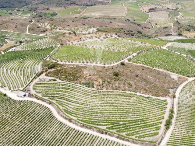 Terreno venda em Guarda, Mós