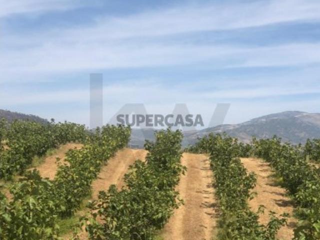 Casa venda em Vila Flor, Bragança