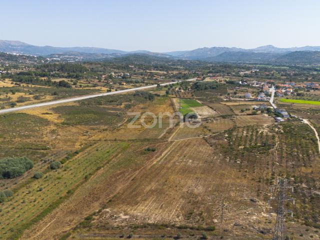 Terreno venda em Castelo Branco
