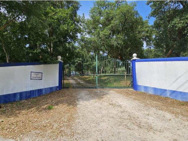 Quinta venda em Quinta do Reforteleiro, Alcobaça