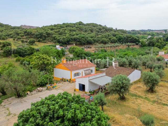 Quinta venda em Borba (Matriz), Borba