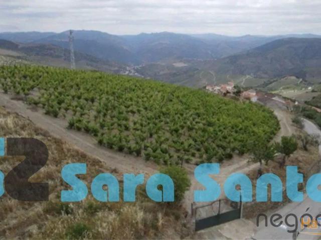 Quinta venda em Nagoselo Do Douro, Viseu