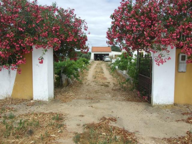Quinta venda em Alvalade