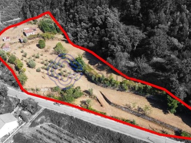 Quinta venda em Cinfães, Viseu