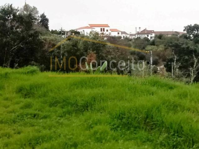 Quinta venda em São Pedro De Tomar, Beberriqueira