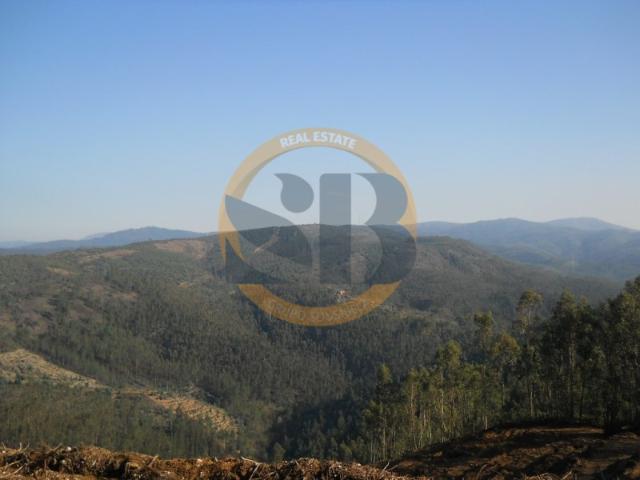 Quinta venda em Arouca, Burgo