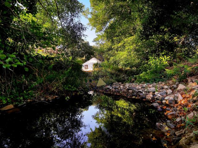 Quinta venda em Monchique, Faro