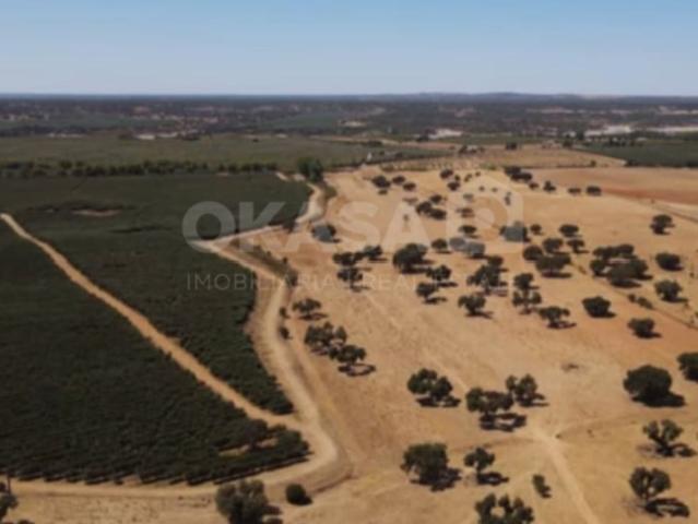 Terreno venda em Avis, Portalegre