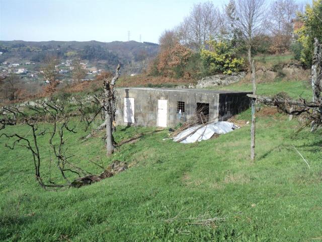Quinta venda em Baião, Porto