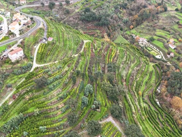Quinta venda em Paredes de Cima, Baião