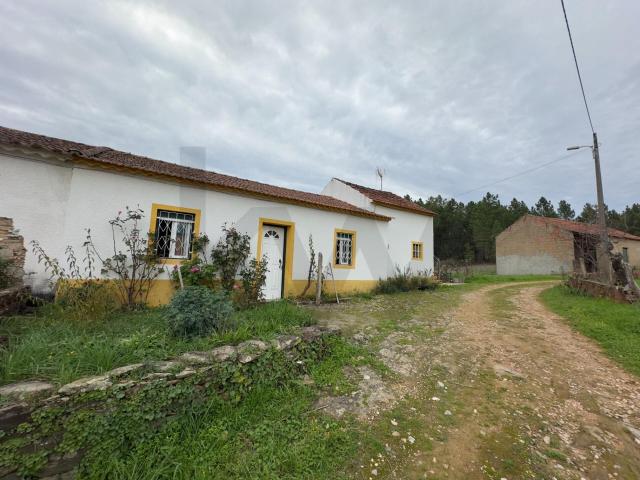 Quinta venda em Castelo Branco