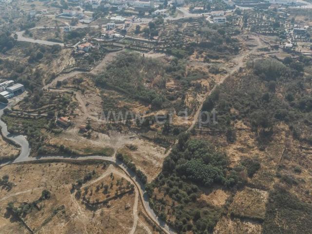Quinta venda em Castelo Branco, Aldeia Do Souto