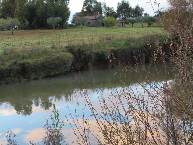 Quinta venda em Castelo Branco