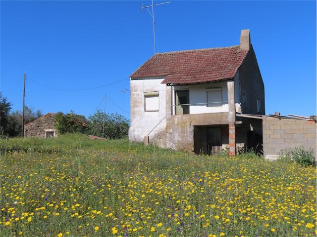 Quinta venda em Castelo Branco