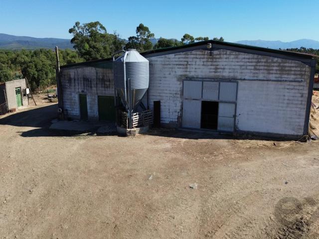 Quinta venda em Castelo Branco, Penamacor