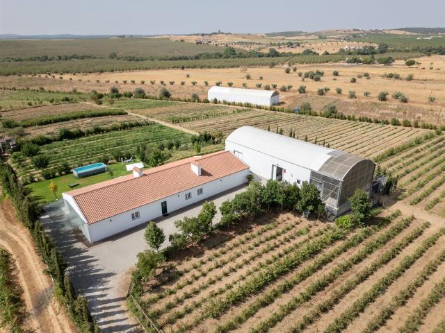 Vivenda venda em Évora