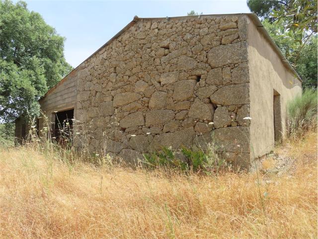 Quinta venda em Castelo Branco