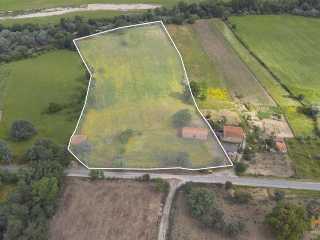 Quinta venda em Castelo Branco