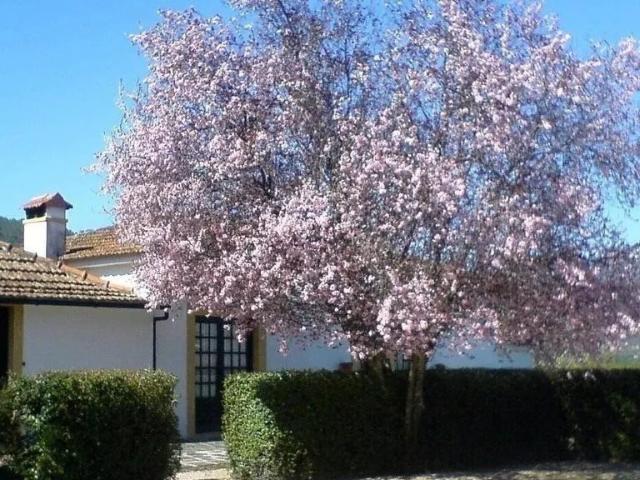 Vivenda venda em Porto, Aldoar