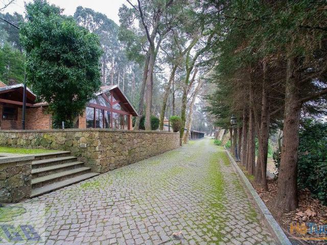 Quinta venda em Oliveira De Azeméis, Aveiro