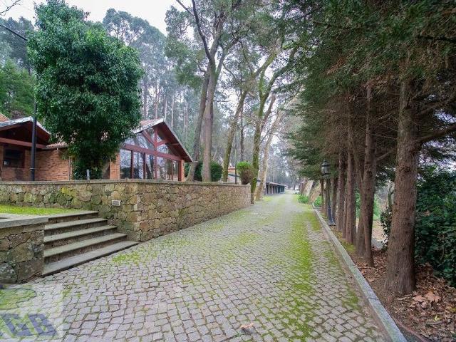 Quinta venda em Ouriçosa, Oliveira De Azeméis