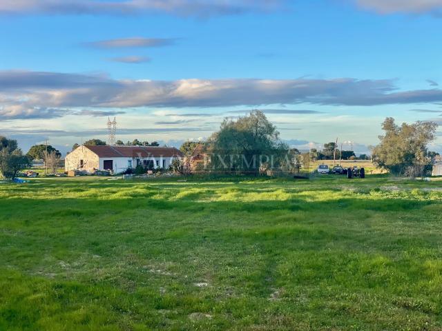 Terreno venda em Montijo, Setúbal