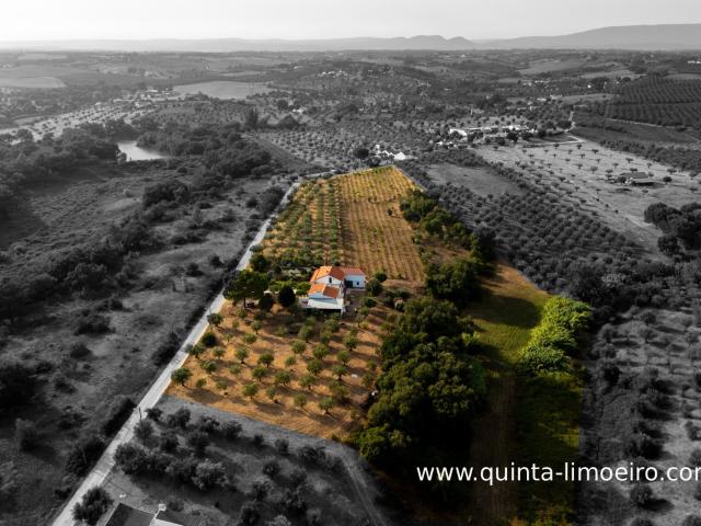 Vivenda venda em Casével e Vaqueiros, Santarém